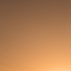 dailyPhoto36